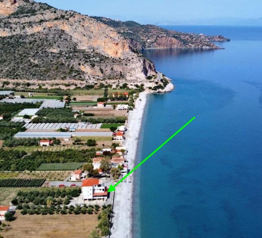 Thassa Beach Apartment No6 Leonídion Dış mekan fotoğraf